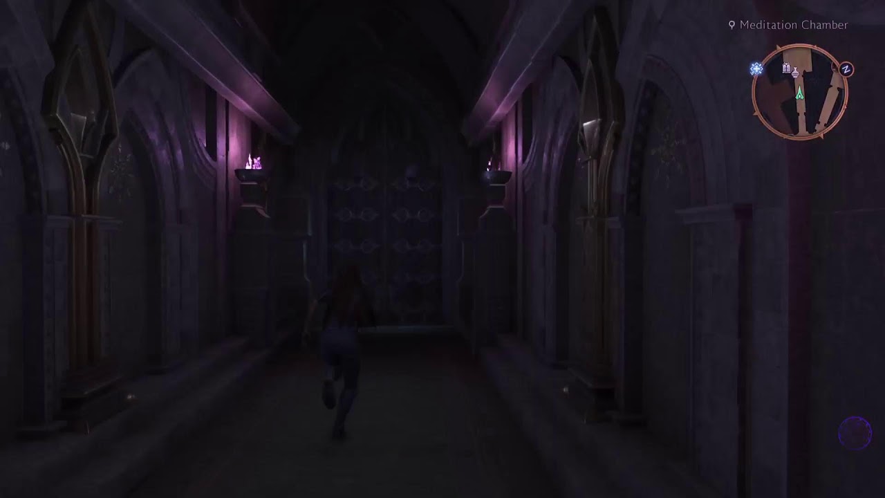 Dragon Age - The Veilguard P17 (Human Rook)