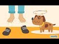 Understanding Why Feet Smell