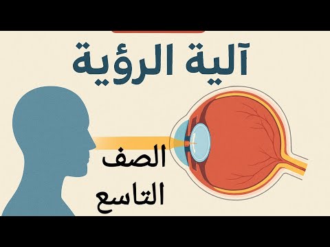 ٱلية الرؤية علوم الصف التاسع