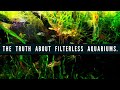 Creating A FILTERLESS AQUARIUM Using Anoxic AND Aerobic Bacteria. How to Setup A Natural Fish Tank