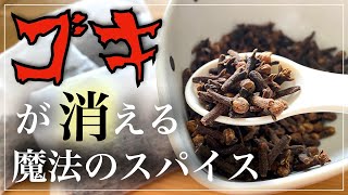 【ゴキブリ対策】クローブ設置で遭遇ゼロに｜vlog