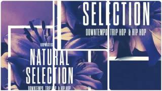 Natural Selection   Downtempo Chillout Samples & Loops   By Loopmasters   new