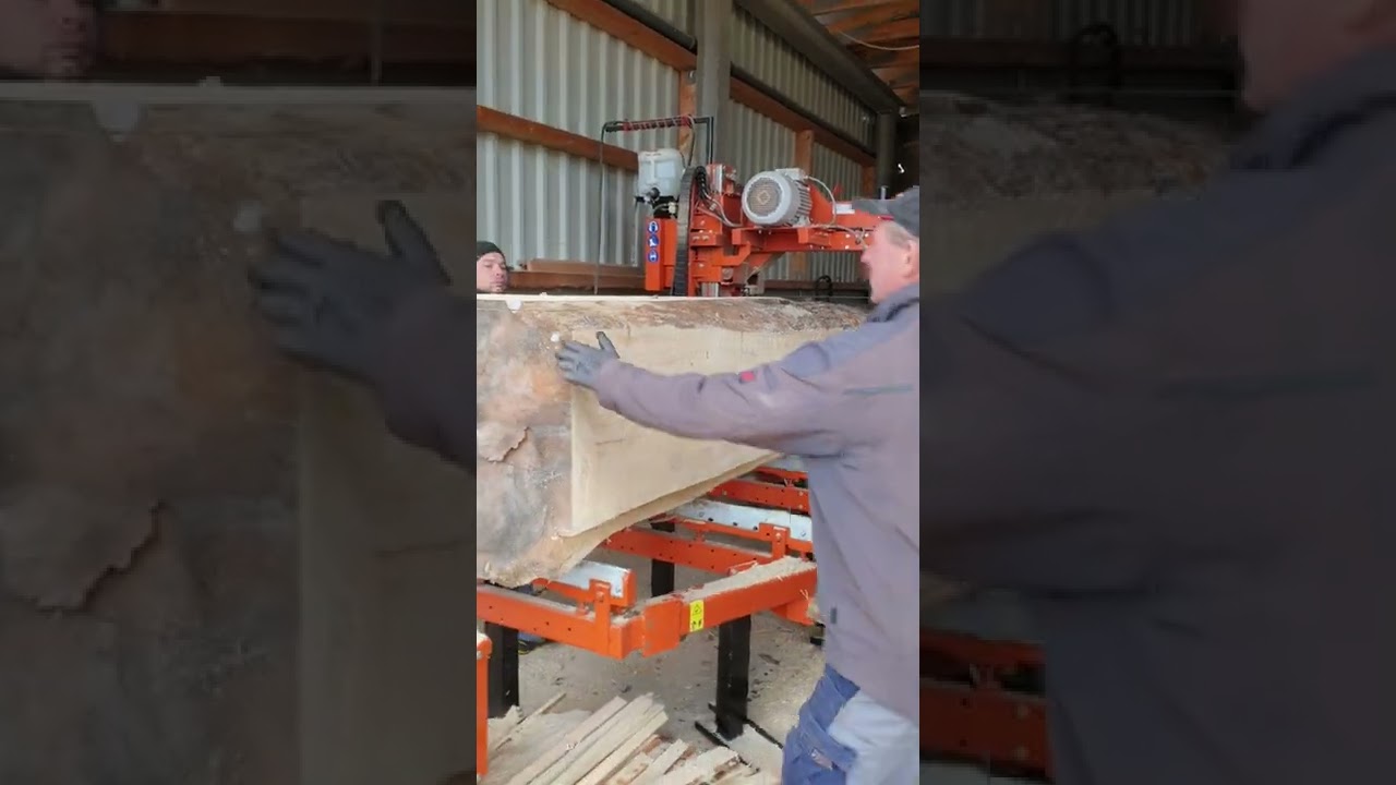 Wood Mizer Hydraulic LT 20