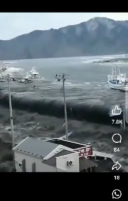 Tsunami live russia