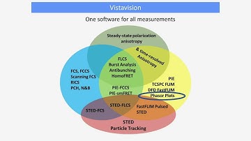 VistaVision Software: Phasor Plots | ISS Microscopy