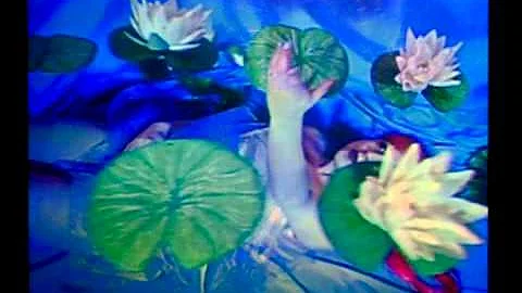LOTUS, Digital Hologram by Isabel Azevedo and Eliz...
