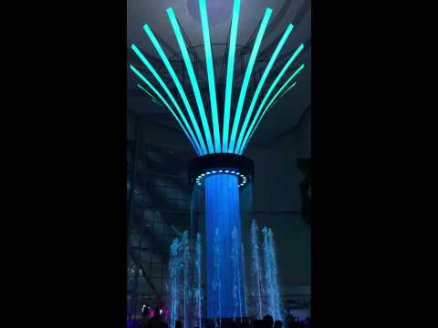 Tree of life show at Central Westgate