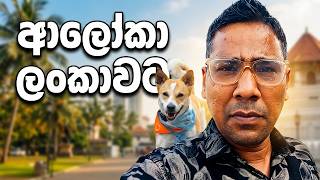 ආලක හසරම වනසලකයම හඩවන ආලක කරප ද-Sl Sanhinda Of Dog
