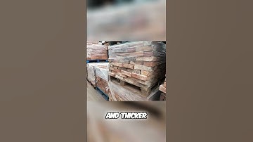 Geschiedenis van de bakstenenbelasting: hoe bakstenen in de loop der tijd dikker werden!