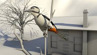 Bird 3D Animation