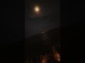 郷ひろみ/月の光