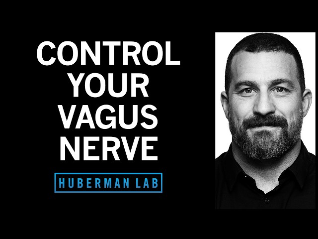 Unlocking the Power of the Vagus Nerve for Mood and Health
