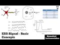 Electroencephalogram (EEG) Signal | Basic Concepts | Biomedical Instrumentation