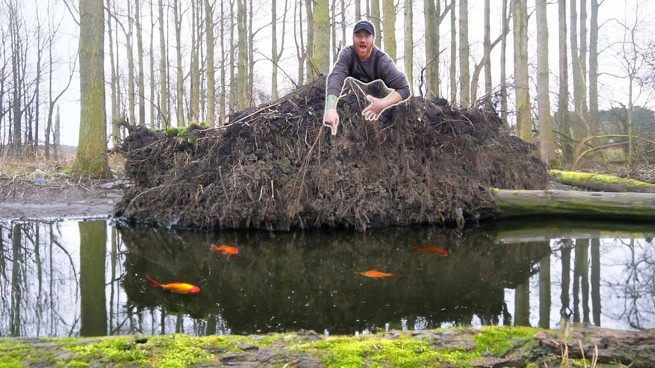 I Found A Hole in The Woods Filled With Beautiful Fish! New PB!