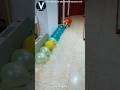 😱ബലൂൺ പൊട്ടിക്കാൻ ഇവൻ മിടുക്കനാണ്!! #trending #viralshorts #facts #ytshorts