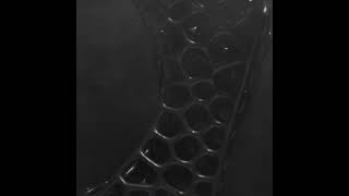 Alien Mobius Pentagon sculpture #blender #geometrynodes #voronoi #lattice