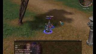 Metin2 duel