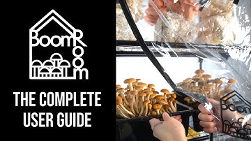 Complete BoomRoom II Walk-Through | Feature