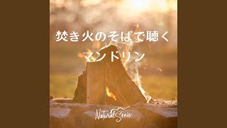 Hearthside Harmony