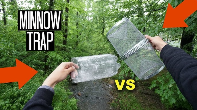 Minnow Trapping!! Homemade 2-Liter Trap! (Surprise Catch!) 