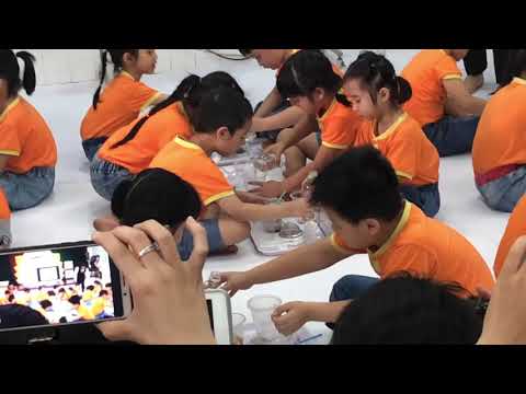 Video Chuyên đề HĐKP : Cát - Sỏi - 5 tuổi - YouTube