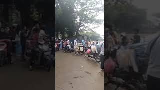 berebut ikan pesta rakyat berburu ikan setu situ jeletreng jawabarat