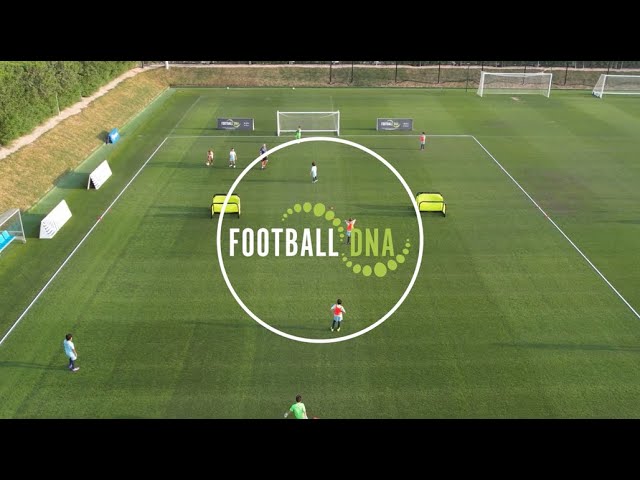 Football DNA - Brasil