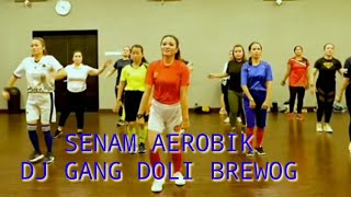 SENAM AEROBIK DJ GANG DOLI
