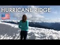 BEST VIEWS IN THE PNW?! | Hurricane Ridge, WA