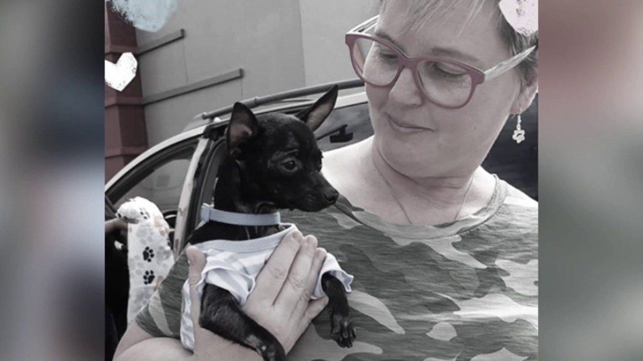 wheelchair sign Portraits of Compassion: Marlene & Paws R Us