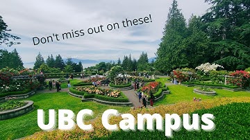 UBC Campus Tour For Tourists - Make Sure You Check Out These Spots!