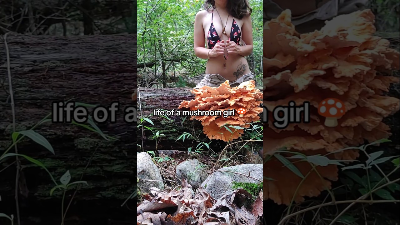 🍄🥹🙏❤️🌟 #mycology #mushroom #vanlife #nature