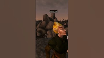 Killing the adoring fan in Morrowind every day until Skywind and Skyblivion are released Day - 451