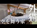 【外猫ハウス】今年の冬対策！名付けてポカポカ空中御殿がこちら！