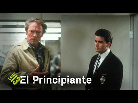 The Rookie | Calle 13