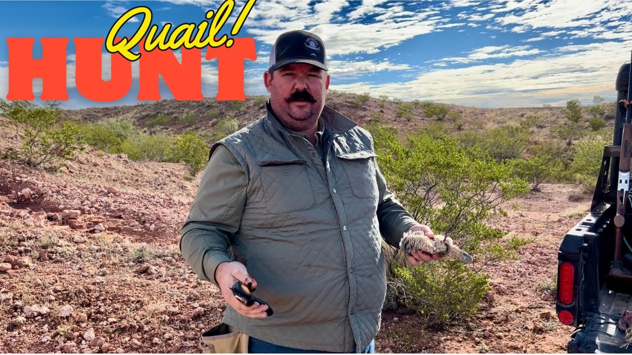 Hunting and Cleaning Quail in New Mexico | Bar 7 Ranch - YouTube