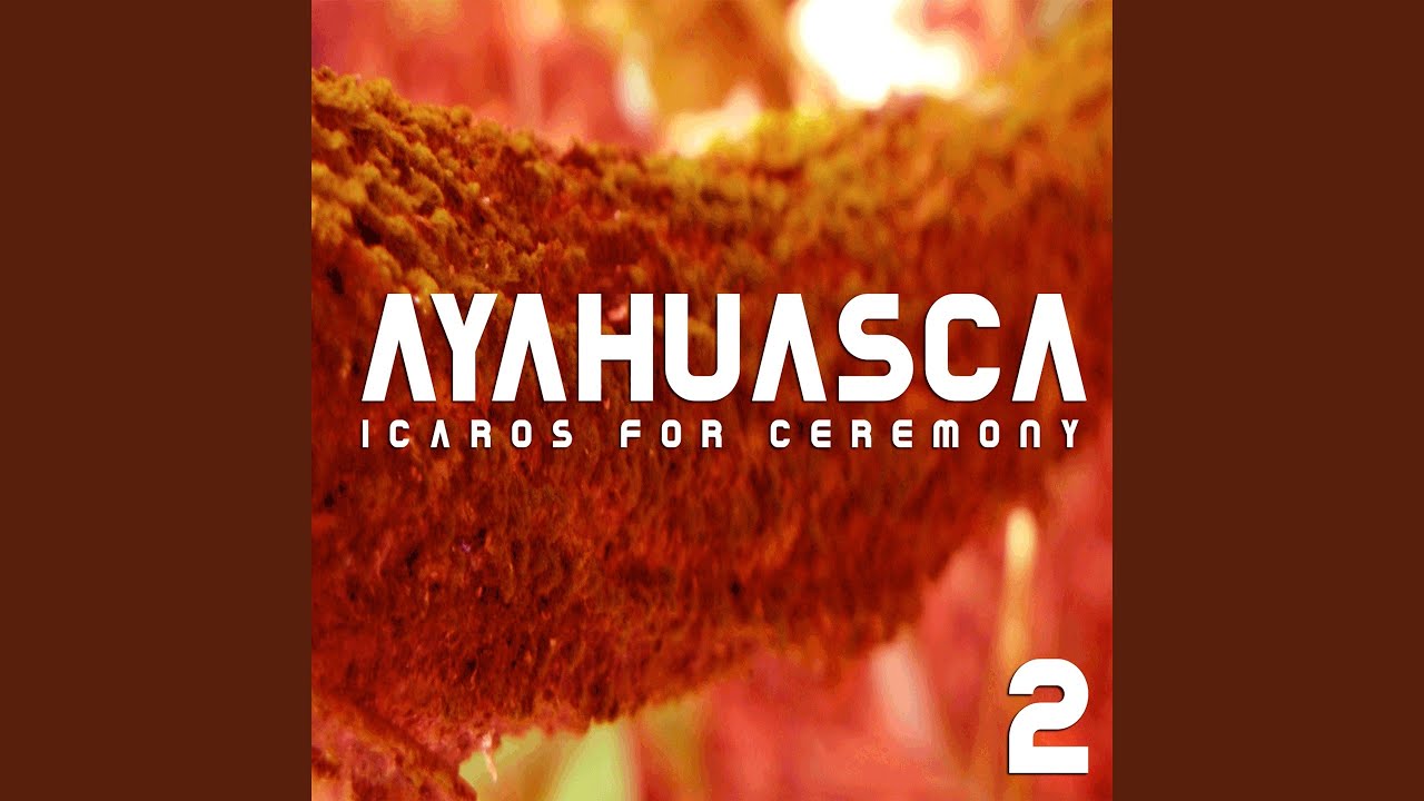 Icarito Little Brother