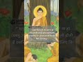 मनुष्य कितना भी गोरा क्यों न हो उसका पक्षाई हमेशा काली ही होती है 🎯 motivation video 🎯 #videos