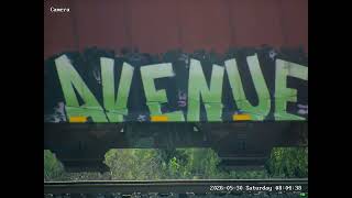 Train Clip #0004 BNSF railway Graffiti Train Clip #0004 BNSF railway Graffiti