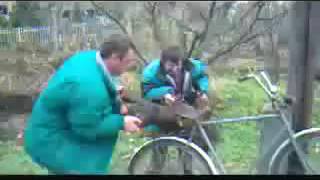 Betivi Cara Lemne Cu Bicicleta--