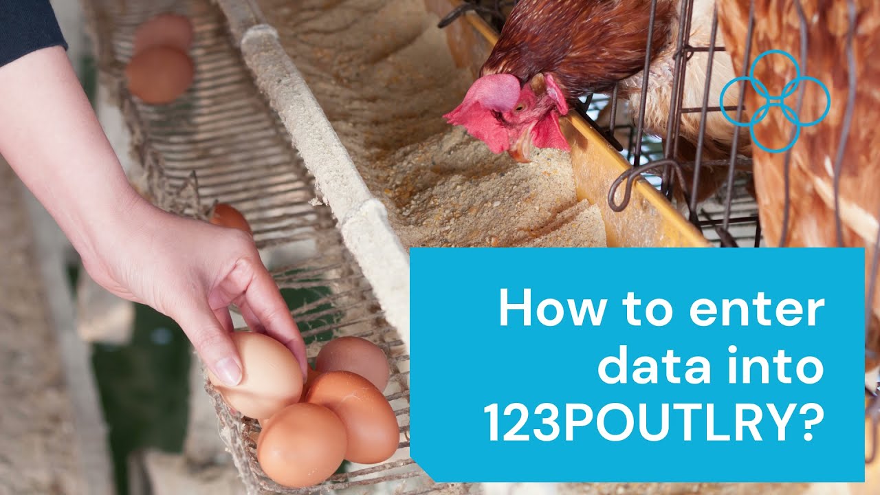 How to enter data into 123POULTRY