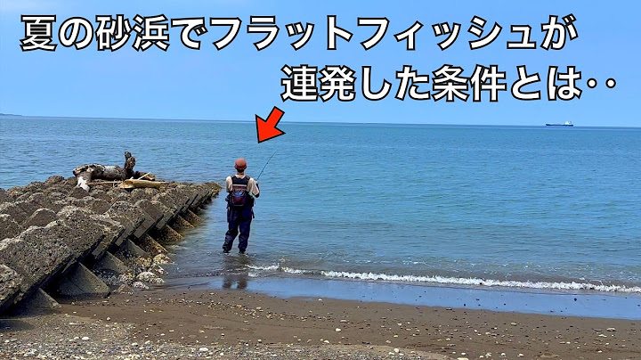 Summer surf fishing for flounder and flathead. I kept casting for a whole day and tried to find a...