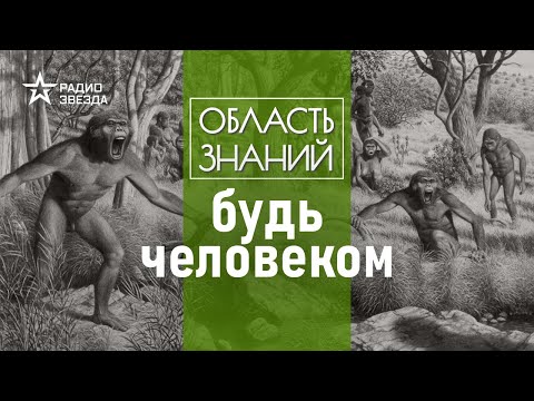 Четыре главных шага в эволюции приматов. Лекция антрополога Елены Судариковой