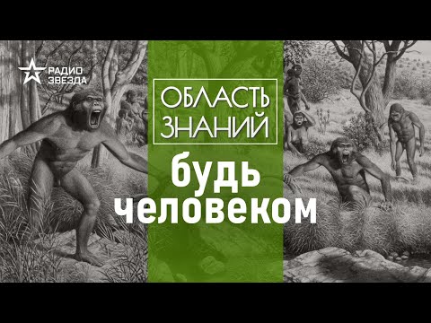 Четыре главных шага