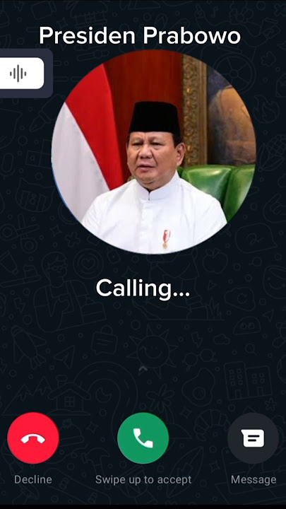 Presiden Prabowo #call #president #indonesia #whatsapp #whatsappstatus