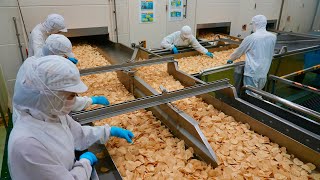 The Mass Production Process of SeaweedSalted Potato Chips in a Japanese Factory.