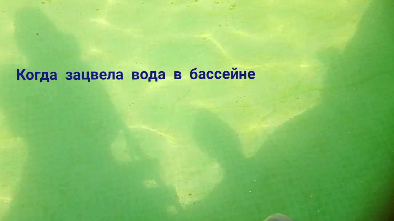 Почему позеленела вода. Зацвела вода в бассейне. Бассейн зацвел. Как зацветает вода в бассейне. Мутная зеленая вода в бассейне.