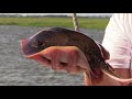 'Lady Jane' Narrated Shrimp Boat Tour