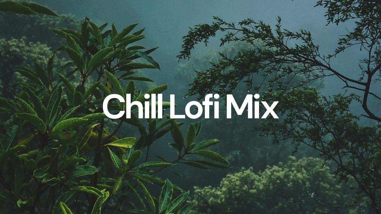 Chill Lofi Mix chill lo fi hip hop beats