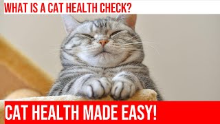How to Perform a Regular Health Check on Your Cat